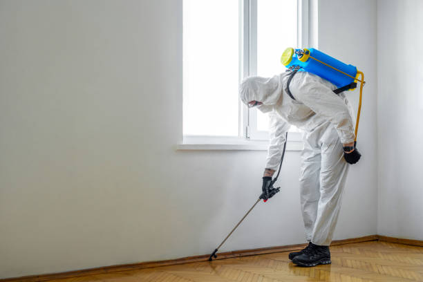 Professional Pest Control in Grand Ledge, MI